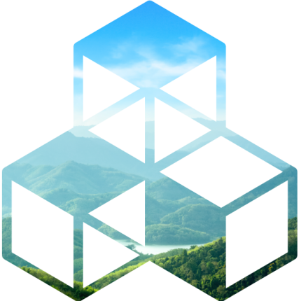 green forest picture